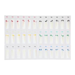 Absorbent Points Size 15-40 Assorted 0.04 180/Bx