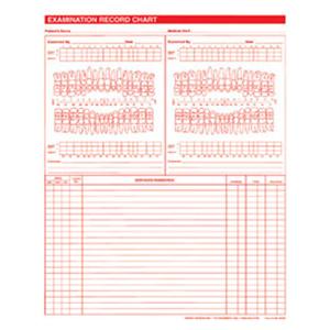 Exam Record Dental Charts 2-Sided White 100/Pk