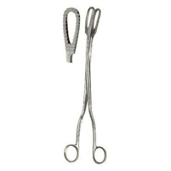 Bierer Ovum Forcep 330mm Each