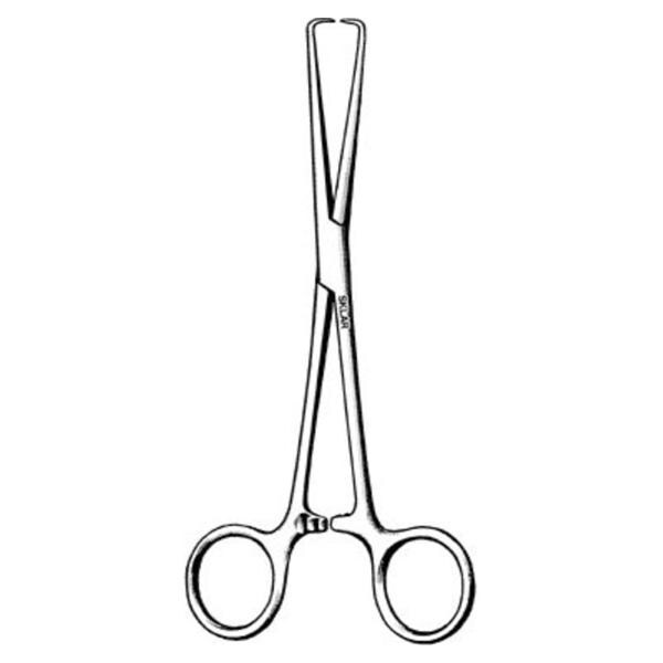 Barrett Forcep Straight 6-1/2" Stainless Steel Ea