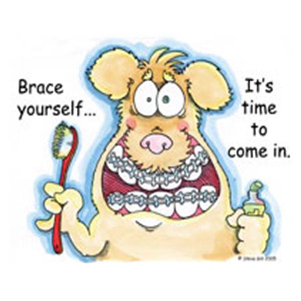 Imprinted Recall Cards Ortho Dog with Braces 4 in x 6 in 250/Pk