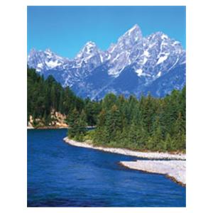 CeilingScenes Acoustic Tile Mountain View & Stream 2-Tiles Horizontal 24x24" Ea