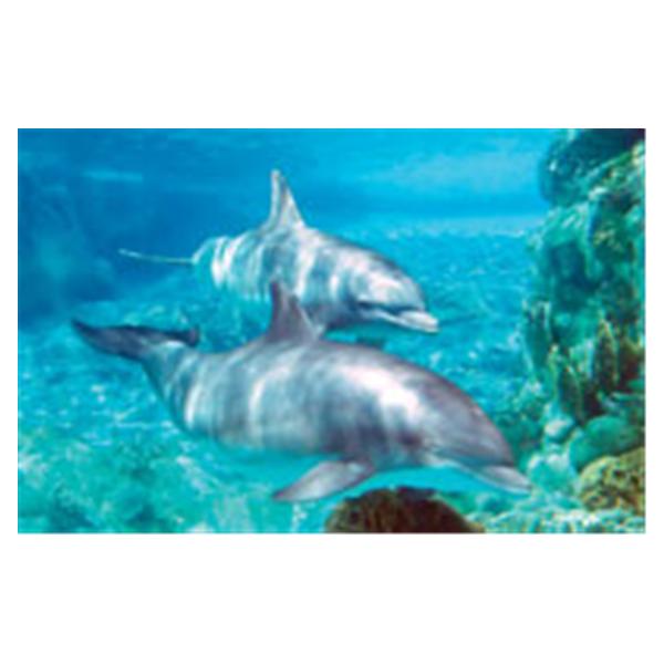 CeilingScenes Light Lens Dolphins 2-Tiles Horizontal 48 in x 24 in Ea