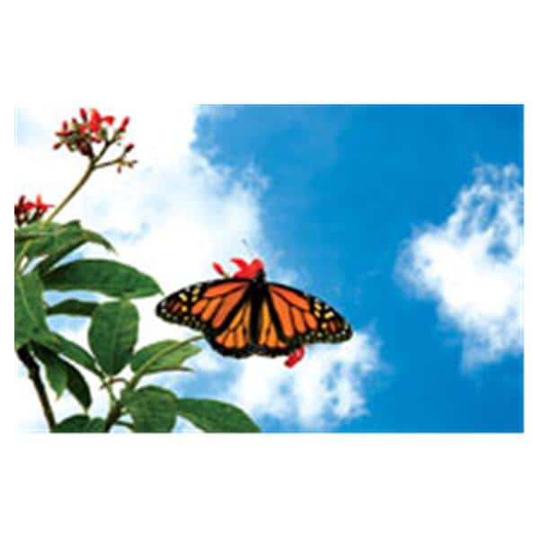 CeilingScenes Light Lens Monarch Sky 2-Tiles Horizontal 24 in x 24 in Ea