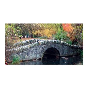 CeilingScenes Acoustic Tile Stone Bridge 2-Tiles Vertical 24 in x 48 in Ea