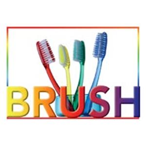 Imprinted Recall Cards Brush 4 Brushes 4 in x 6 in 250/Pk
