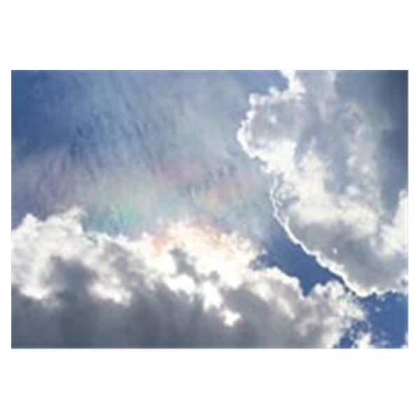 CeilingScenes Light Lens Sun & Clouds 1-Tile Square 24 in x 24 in Ea