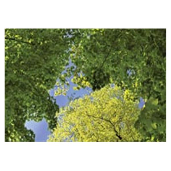 CeilingScenes Light Lens Green UpView 2-Tiles Horizontal 24 in x 24 in Ea