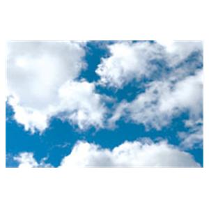 CeilingScenes Acoustic Tile Clouds 2-Tiles Horizontal 24 in x 24 in Ea