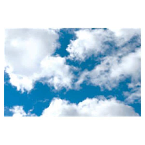 CeilingScenes Acoustic Tile Clouds 2-Tiles Horizontal 24 in x 24 in Ea