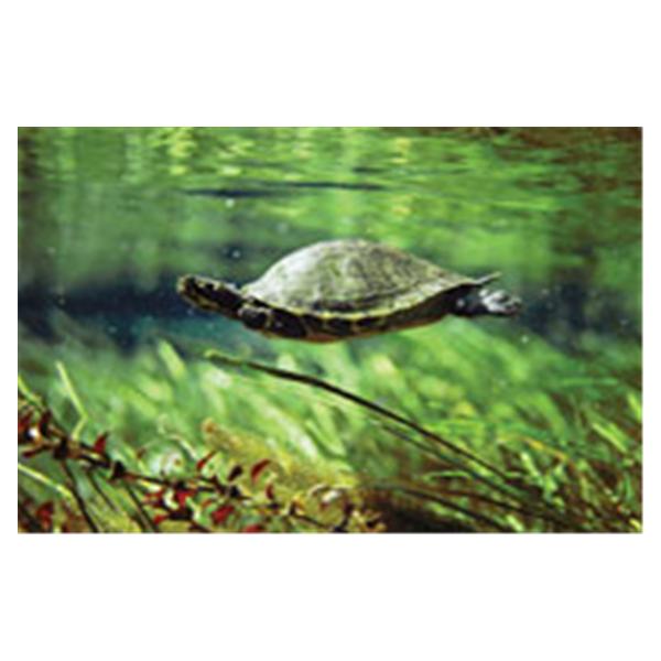 CeilingScenes Light Lens Turtle 4-Tiles Square 24 in x 24 in Ea