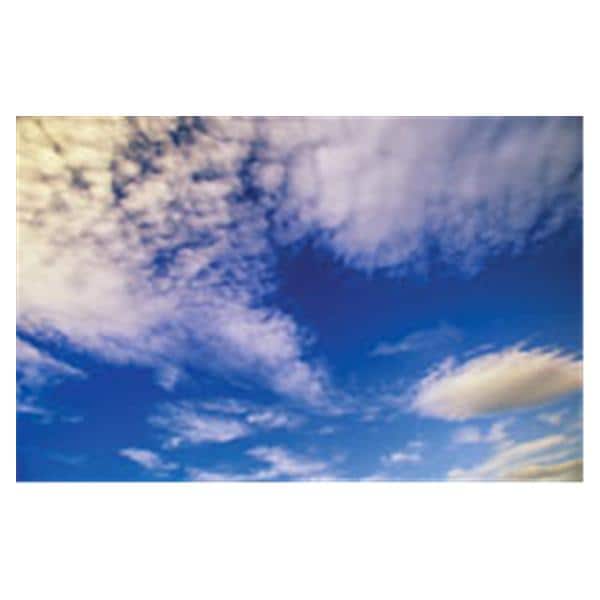 CeilingScenes Light Lens Yukon 1-Tile Horizontal 48 in x 24 in Ea