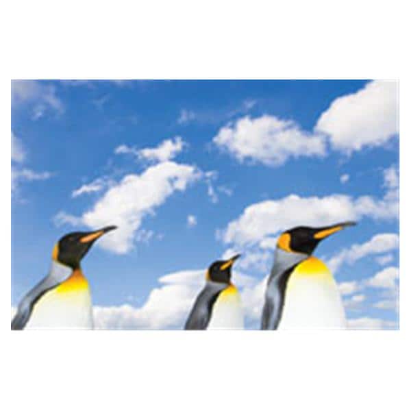 CeilingScenes Light Lens Penguin Sky 2-Tiles Horizontal 24 in x 24 in Ea