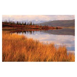 CeilingScenes Acoustic Tile Wonder Lake 1-Tile Horizontal 48 in x 24 in Ea