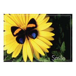 Laser 4-Up Recall Cards Butterfly Smile 8.5 in x 11 in 200/Pk