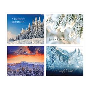 Laser 4-Up Recall Cards Winter Scenes 8.5 in x 11 in 200/Pk