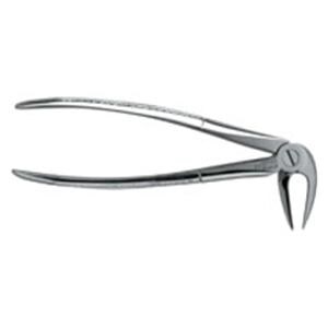 Extracting Forceps Large Adult Ea