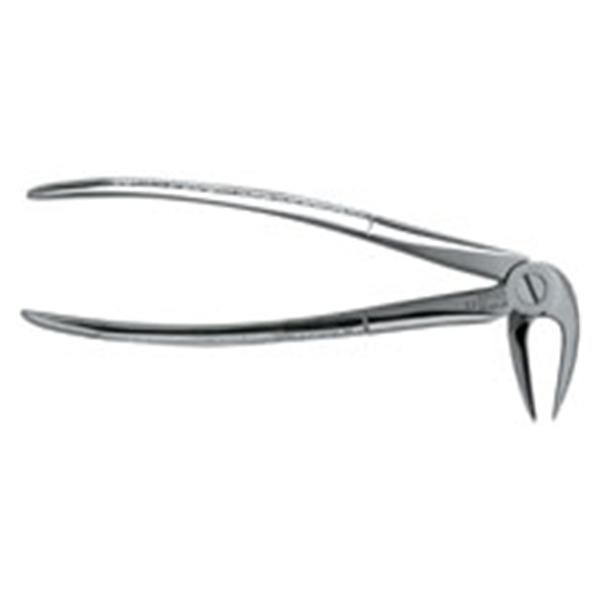 Extracting Forceps Large Adult Ea