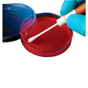 KwikSwab Control Organism P. vulgaris ATCC 13315 Solid Volume 2/P...