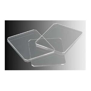 Hemacytometer Cover Glass 20x26mm 100/Ca