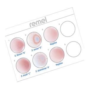 Wellcolex Test Shigella 50/Kt