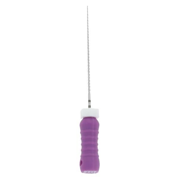 Edge K-File K-File 21 mm Size #10 Stainless Steel Purple 6/Pk