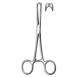 Allis Tissue Forcep 6" Each