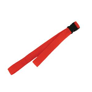 Restraint Strap Buckle Plastic Ea