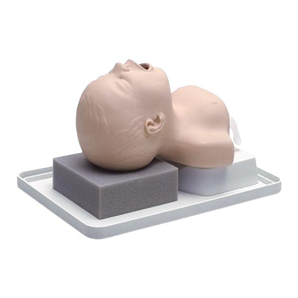 Head/Intubation Training Neonatal Manikin Ea