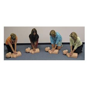 Economy Sani-Man Carry Bag CPR Trainer Manikin 29x16x15" Adult Fo...
