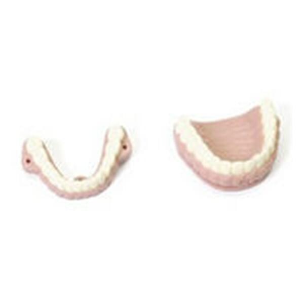 Airway Management Trainer Teeth Teeth Ea