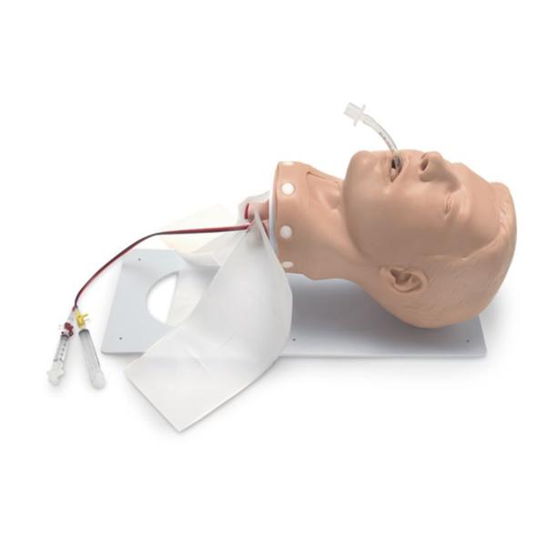 Head Training Manikin Light Skin Male Adult Each