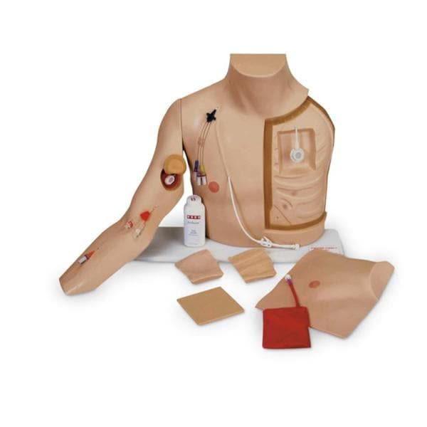Chester Chest Catheterization Trainer With Portable Each