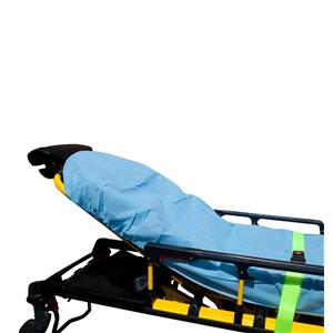 Stretcher Sheet Non-Sterile 30 in x 84 in Blue 25/Case