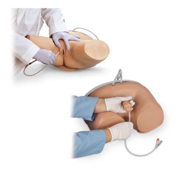 Catheter Educational Simulator Male/Female Each