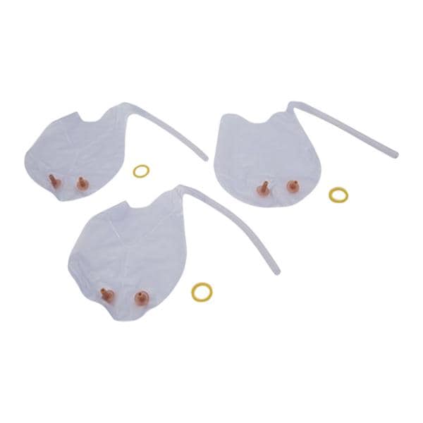 Infant Airway Management Trainer Lungs/ Stomach For Infant Airway...