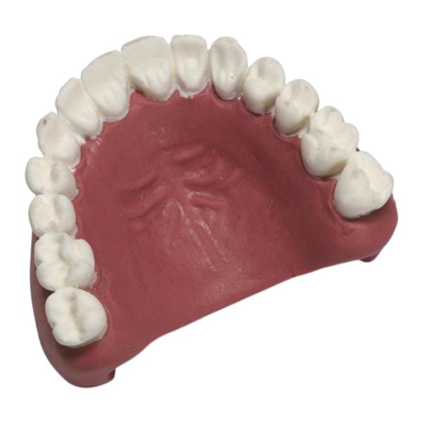 MegaCode Kelly Replacement Teeth Upper For MegaCode Kelly Soft Ea...