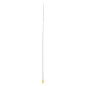 Absorbent Points #501 .020 200/BX