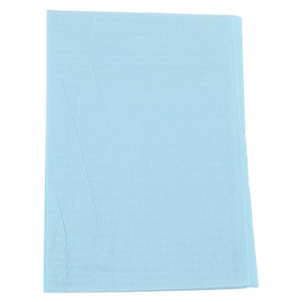 Essentials EDLP Patient Bib 2 Ply Tiss/Poly 13 in x 18 in Bl Disposable 500/Ca