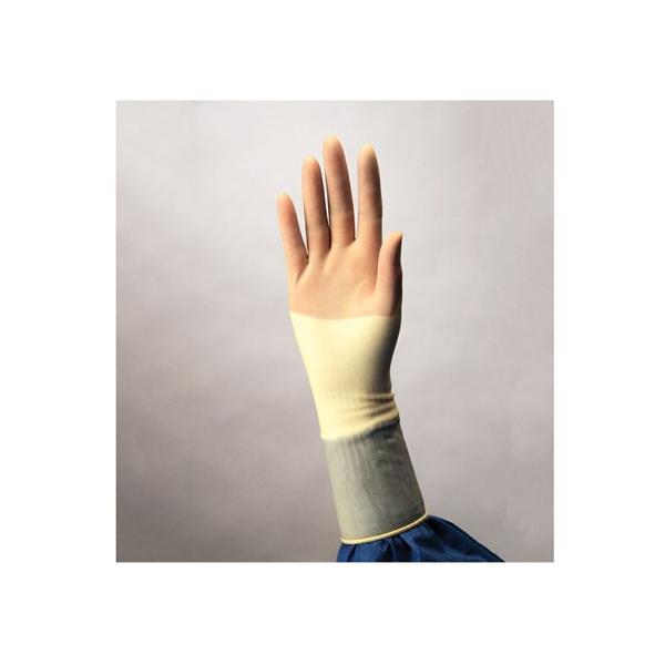 Protexis PI Ortho Synthetic Polyisoprene Surgical Gloves 6.5 Cream, 4 BX/CA