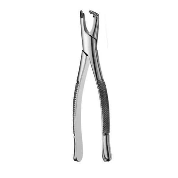Extracting Forceps Apical Lower Molars Ea