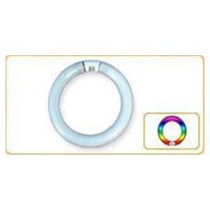 Bulb Fluorescent F/Lamp 8MC300 EA Each