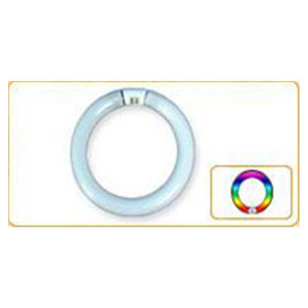 Bulb Fluorescent F/Lamp 8MC300 EA Each