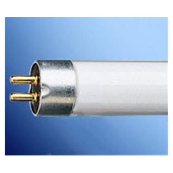 Bulb Flourescent Cool White 6W Ea Ea