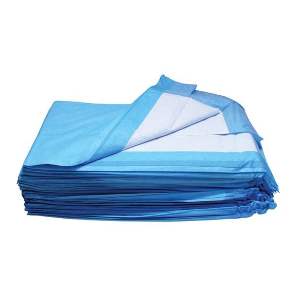Basic Care Incontinence Underpad Unisex 17x24" High White/Blue 100/Bg