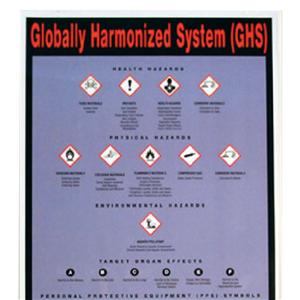 Hazardous Materials 9x25 Safety Wall Chart Ea
