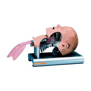 Trachea Replacement Airway Ea