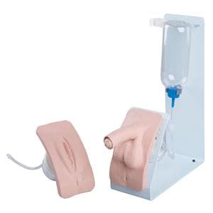 3B Scientific Catheterization Simulator Ea