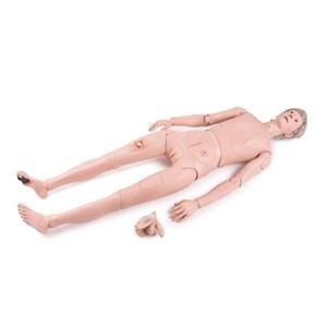 3B Scientific Nursing Skills Trainer Set Ea