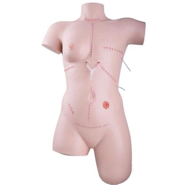 3B Scientific Wound Care Trainer Set Ea